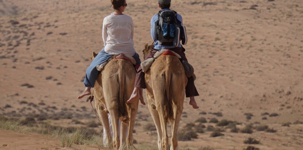 CAMELS SAFARI – THE ONE