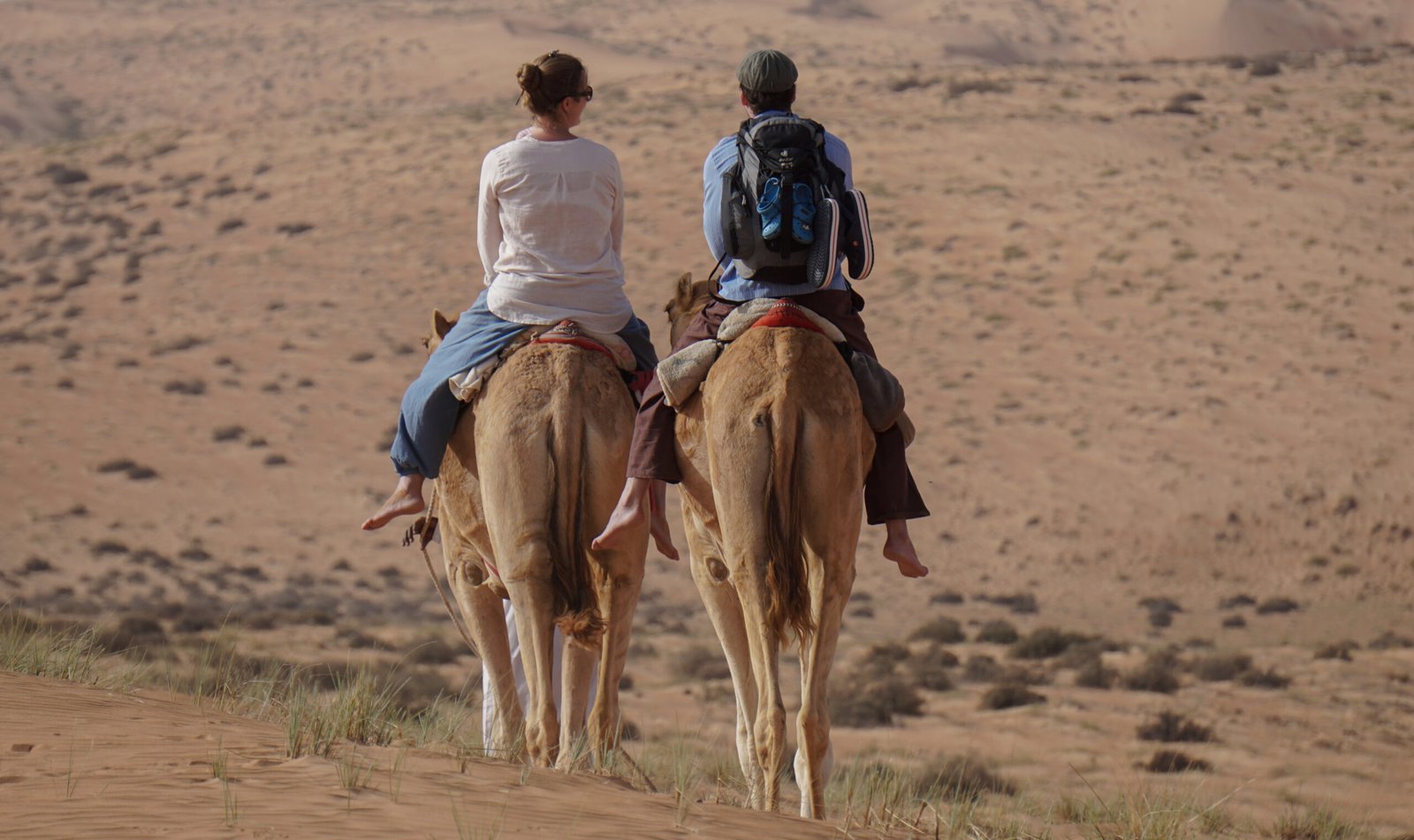CAMELS SAFARI – THE ONE